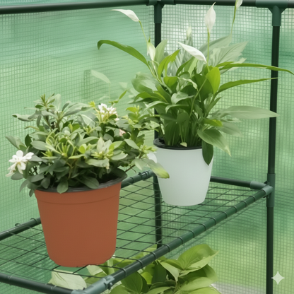 Serre de jardin carrée 2m² - 143 x 143 x 195 cm